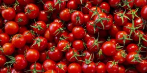 Kasımda en fazla domatesin fiyatı arttı!