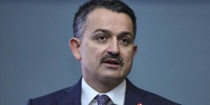 Tarım ve Orman Bakanı Pakdemirli: Hayvan ithalatının sonlandırılması konusunda kararlıyız