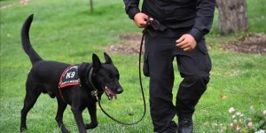 Başkent itfaiyesinin arama kurtarma köpekleri uluslararası göreve hazır