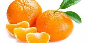 Rusya'ya en çok mandarin ihraç edildi!