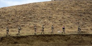 Jandarmanın ikna ettiği sorumlu düzeydeki PKK'lı terörist teslim oldu