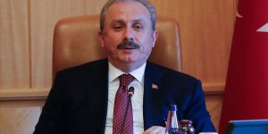 TBMM Başkanı Şentop: Gazeteciler önemli bir görev ifa ediyor