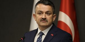 Tarım ve Orman Bakanı Pakdemirli: Kıbrıs isale hattında kopukluk gözlemlendi