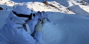 Hakkari'de 'Kapan-3 Kavaklı Operasyonu' başlatıldı