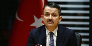 Tarım ve Orman Bakanı Pakdemirli: Tarım ve gıda sektörü başarı hikayesi yazdı