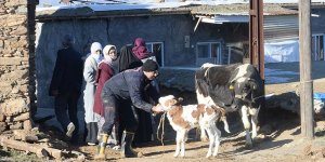 Malatya'da yıkılan ahırlarda mahsur kalan hayvanları itfaiye ekipleri kurtardı