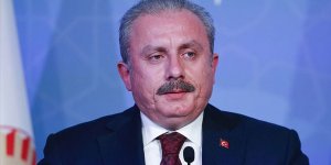 TBMM Başkanı Şentop'tan şehit askerler için başsağlığı mesajı