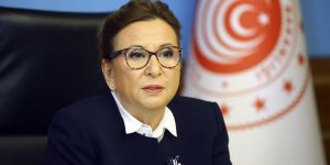 Ticaret Bakanı Pekcan: Şu anda yaklaşık 7 bin 400 firma daha inceleme altında