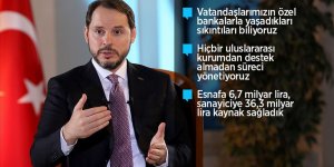 Hazine ve Maliye Bakanı Albayrak'tan özel bankalara ilişkin değerlendirme