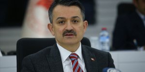 Buzağı destek ödemeleri 24 Nisan itibariyle başlıyor!