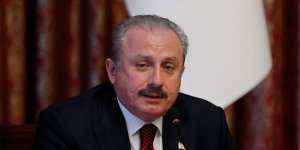 TBMM Başkanı Şentop'tan 'Anneler Günü' mesajı