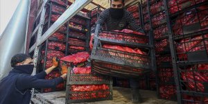 Koronavirüs meyve-sebzeye ilgiyi artırdı, ihracat yüzde 22 arttı!