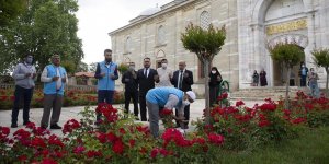 Selimiye Camisi'nde şükür kurbanı kesildi
