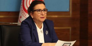 Pekcan: Yarından itibaren esnaf ve sanatkarımız ticari faaliyetlerine kaldığı yerden devam edecek