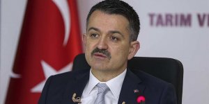 Bakan Pakdemirli: 2 bin 347 eve daha aş ve iş sağlıyoruz