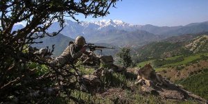 Bitlis'te 2 terörist etkisiz hale getirildi!