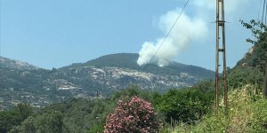 Muğla'da orman yangını