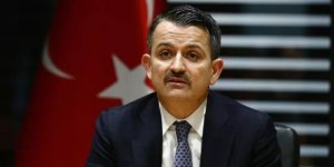 Bakan Pakdemirli: Menderes'teki orman yangını ile ilgili 1 kişi gözaltına alındı