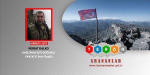 Kırmızı kategoride aranan o PKK'lı terörist etkisiz hale getirildi!