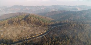 "Adana'daki yangında evleri yanan vatandaşlarımız için 1 Milyon TL kaynak aktarıyoruz"