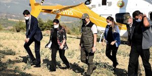 Tarım ve Orman Bakanı Pakdemirli'nin Kozan yangını mesaisi devam ediyor