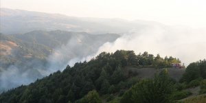 Tokat'taki orman yangını kontrol altına alındı!