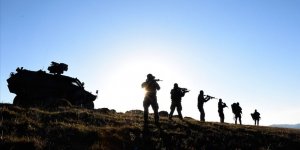 Van'da 'Yıldırım-10 Norduz' operasyonu başlatıldı