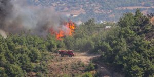 Hatay'daki orman yangınları kontrol altına alındı!