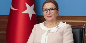 Ticaret Bakanı Pekcan'dan açıklamalar