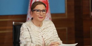 Pekcan: Türk firmaları, Libyalılar ile görüşerek projelerdeki işlerini sonuçlandırabilecek