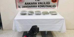 Uyuşturucu kaçakçısı olduğu iddia edilen şüpheli otobüste yakalandı