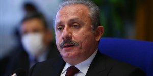 Şentop Türk gemisinin hukuk dışı aranmasını kınadı
