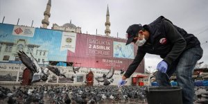 Sokağa çıkma kısıtlamasında sokak hayvanları unutulmadı