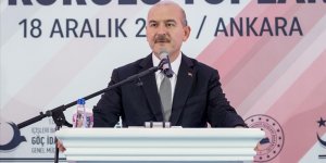 "2020'de yakalanan düzensiz göçmen sayısı 113 bin 865 oldu"