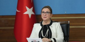 Ticaret Bakanı Pekcan'dan önemli açıklamalar