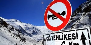 Van, Bitlis, Muş ile Hakkari için kar ve çığ uyarısı