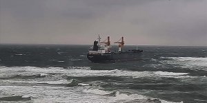 Panama bandıralı kargo gemisi Beykoz açıklarında karaya oturdu