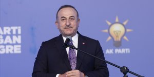 Çavuşoğlu: Her sene hangi ülkede ırkçılık içeren eylem ve söylem olduysa rapor edeceğiz