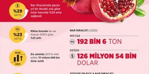 Türkiye'nin nar ihracatı 2020'de rekor kırdı!