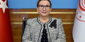 Pekcan: Tüm zamanların en yüksek şubat ayı ihracat rakamına ulaştık