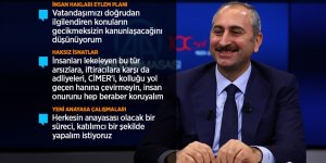 Gül: İnsan Hakları Eylem Planı'nın iki yıllık uygulama süreci var
