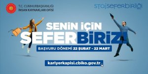 Cumhurbaşkanlığı İnsan Kaynakları Ofisinin 'Staj Seferbirliği'ne şu ana kadar 55 binden fazla öğrenci başvurdu