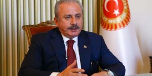 Şentop: Salgın sonrası online eğitim ve hizmetler hayatımızda kalıcı olarak bulunmaya devam edecek