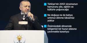 Erdoğan: Türkiye'nin yeni ve sivil bir Anayasa'yı tartışması değişen şartların kaçınılmaz gereğidir