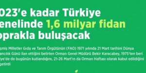 2023'e kadar Türkiye genelinde 1,6 milyar fidan toprakla buluşacak!