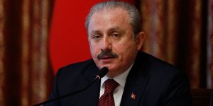 Şentop: Atatürk büstlerine yapılan provokatif, alçakça saldırıları kınıyorum