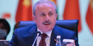 Şentop: Antlaşmaları hak ve hukukumuzu koruma kudretimiz ve kararlığımız var eder