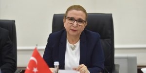 Pekcan: Kızılcahamam'daki yangında zarar gören esnafa 50 bin lira hibe verilecek