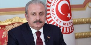 TBMM Başkanı Şentop, yeni atanan bakanlar Derya Yanık, Mehmet Muş ve Vedat Bilgin'i tebrik etti