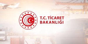 Türkiye'de geçen yıl 162 bin 51 işletme ilk defa e-ticarete girdi